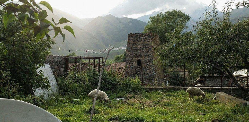 Archil And Nino Gigauri Guest House Kazbegi Eksteriør bilde